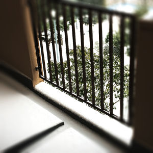 本日の福岡も雪