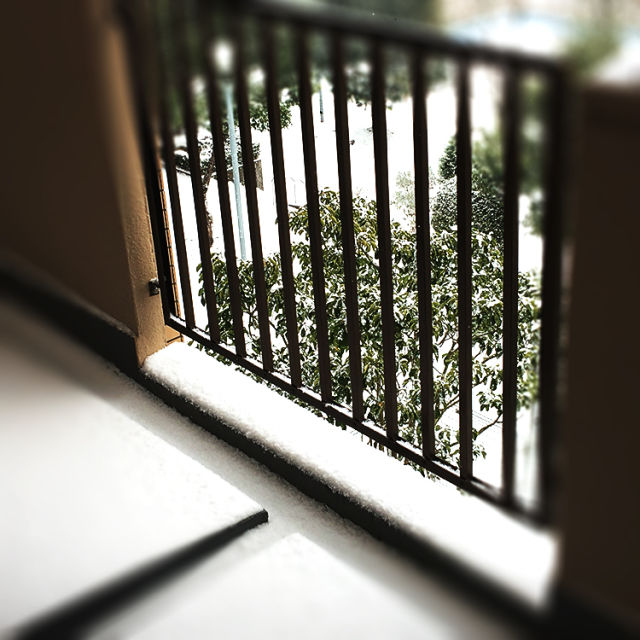 本日の福岡も雪